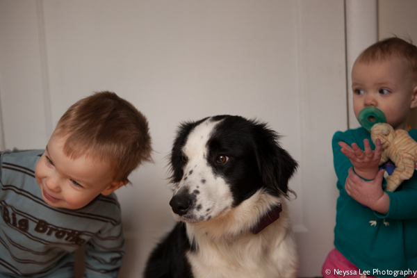 Photo Recipe for Kids with their Dog, Photograph the Every Day, Toddlers and dog, border collie