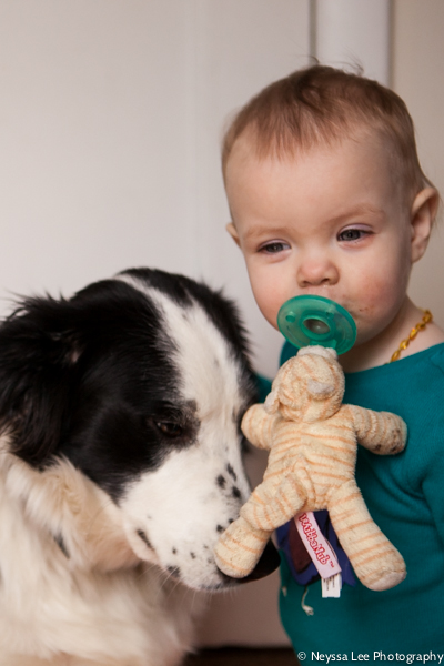 Photo Recipe for Kids with their Dog, Photograph the Every Day, Toddlers and dog, border collie