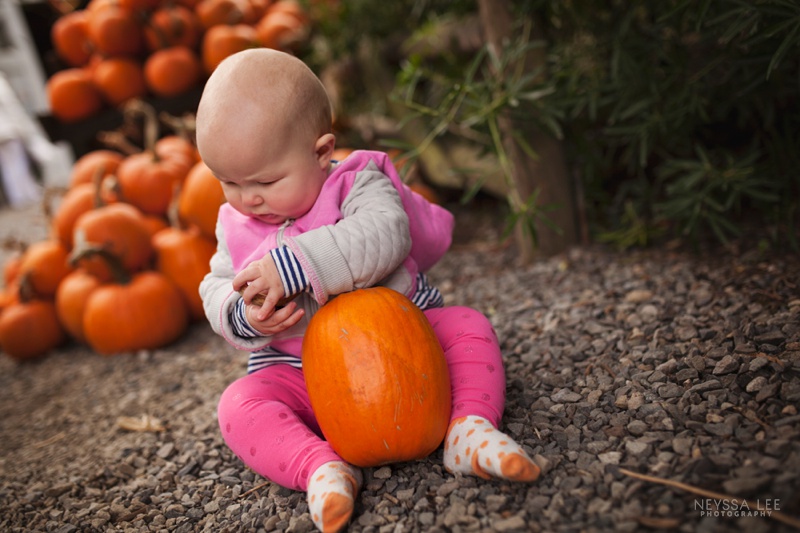 7 Month old baby girl, pumpkin patch, baby and pumpkin