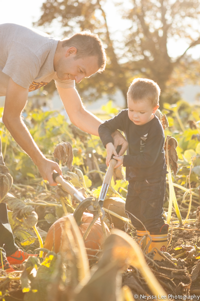 Seven Pumpkin Patch Photo Tips, Father and son picking pumpkins