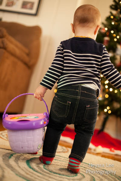 A holiday picnic photo, Capturing Everyday Moments, Toddler Girl Photos, Snoqualmie Photographer