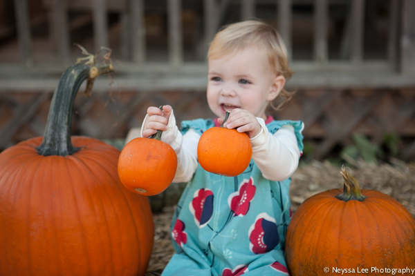 Seven Pumpkin Patch Photo Tips, Toddler girl with pumpkin