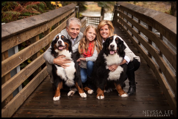 Fall Family Session, family photos on bridge, dogs in family photos