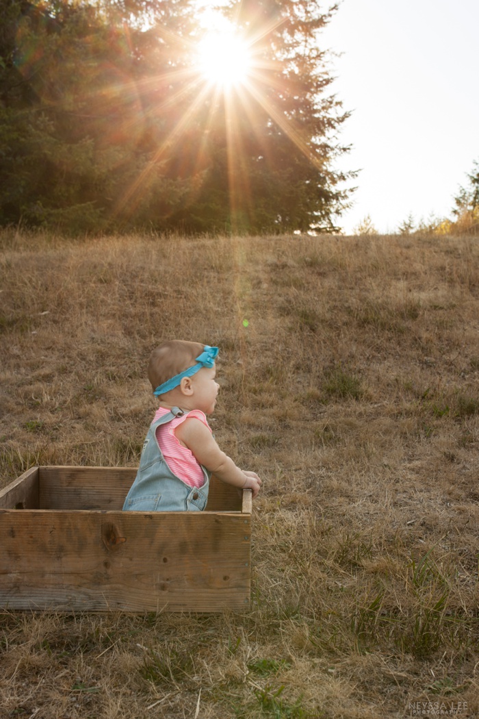 gorgeous sunlight, 8 month old baby girl, family photos, baby in a box in a field