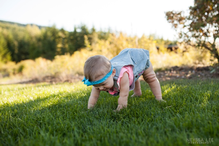 gorgeous sunlight, 8 month old baby girl, family photos, trying t crawl