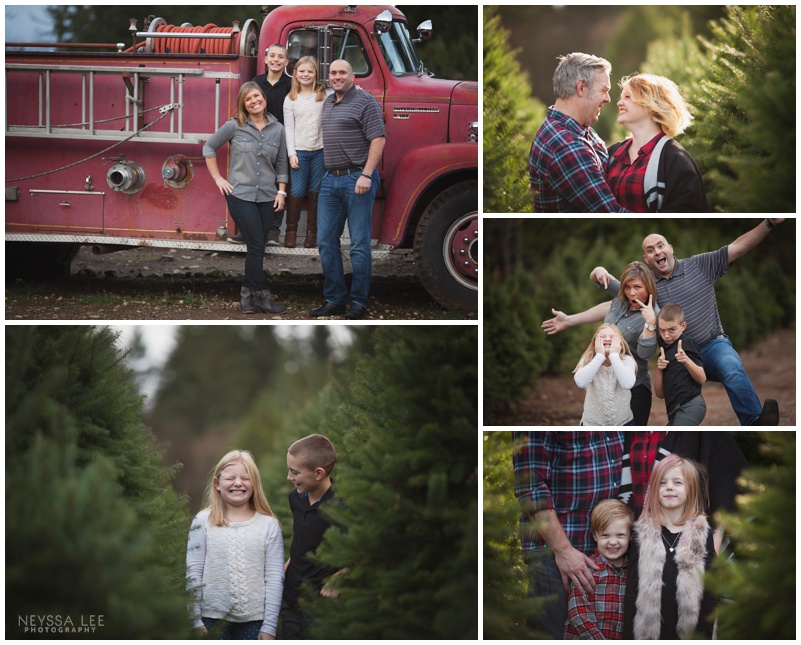 photos at a tree farm, Christmas mini sessions, Family Photos