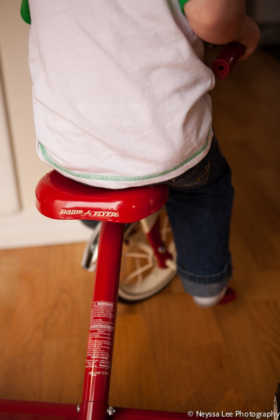Handy Manny Birthday Bash