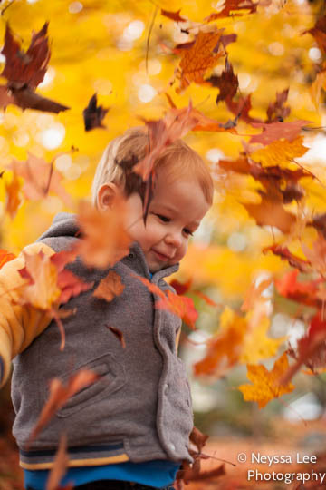 Fall Photo Tips, Snoqualmie Family Photographer, Playing in Leaves Phot
