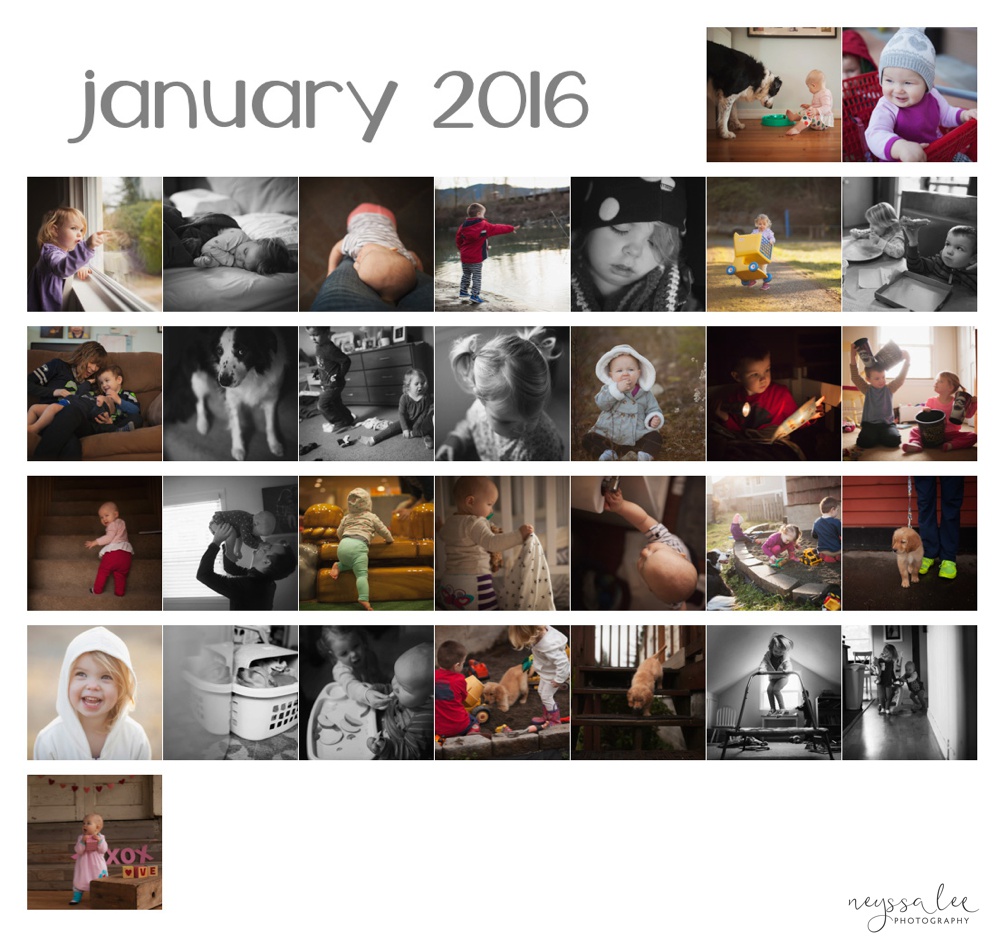 January 365 Photographs, Personal Photography Project, 