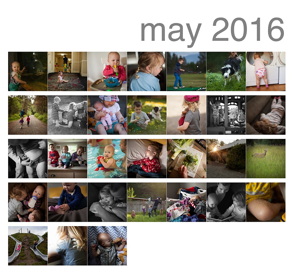May 365 Photos, Lifestyle Photography, Snoqualmie Photographer