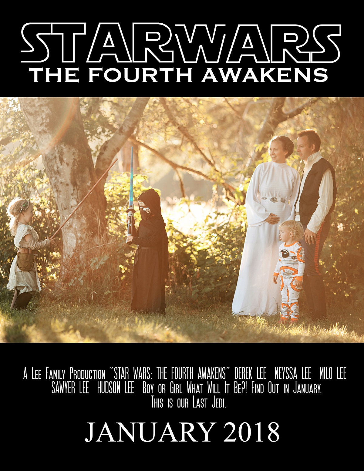 Star Wars Pregnancy Announcement, baby 4, movie poster