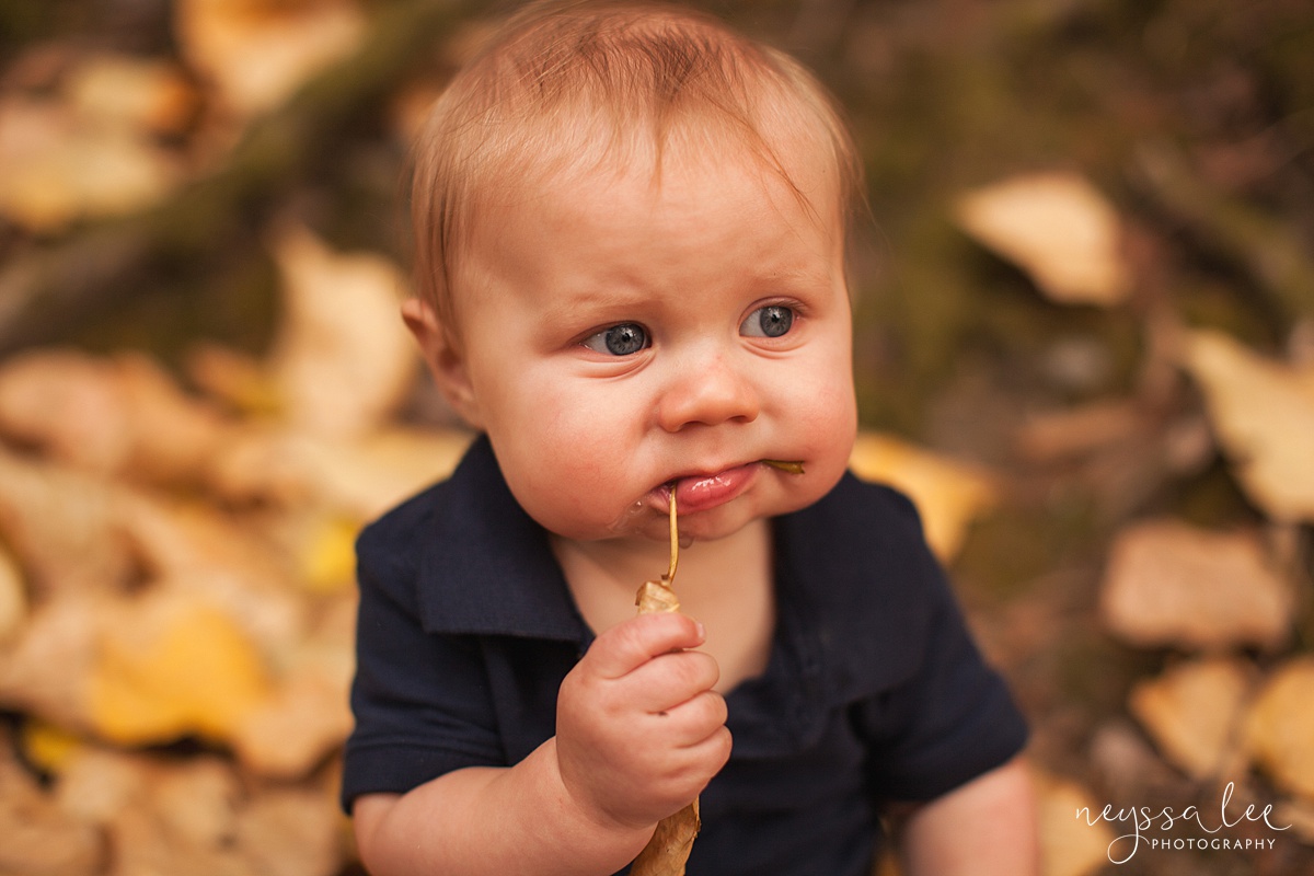 Snoqualmie family photographer, Neyssa Lee Photography, toddler only wants to play during photos, baby boy eating leaf