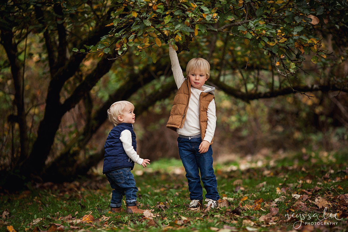 Neyssa Lee Photography, Snoqualmie Family Photographer, Fall Family Photos, Brothers playing in trees