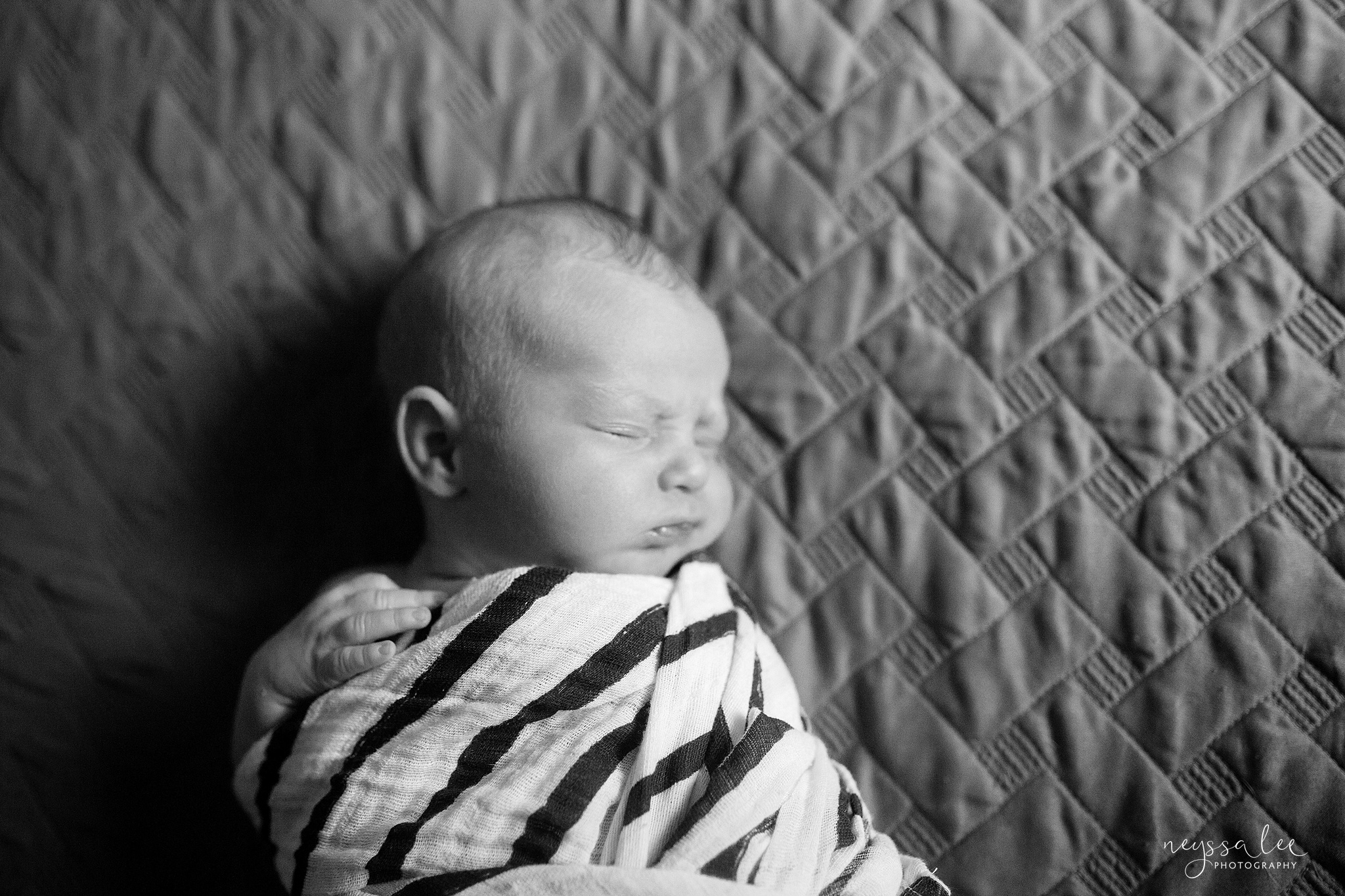 Swaddled newborn baby boy photography session