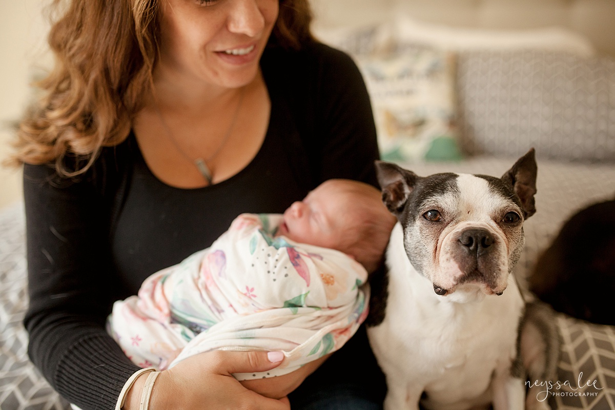 Newborn baby girl in mother's arms and puppy dog nearby