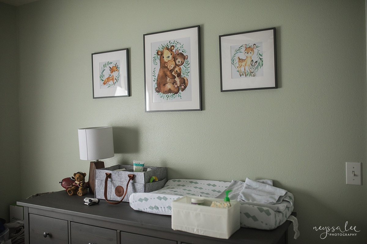 Photo of nursery details