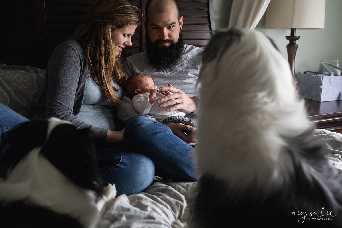 Neyssa Lee Photography, Issaquah Fresh 48 Photographer, Issaquah Newborn Photographer, What is the difference between Fresh 48 and Newborn Session, Photo of family with dogs and newborn baby
