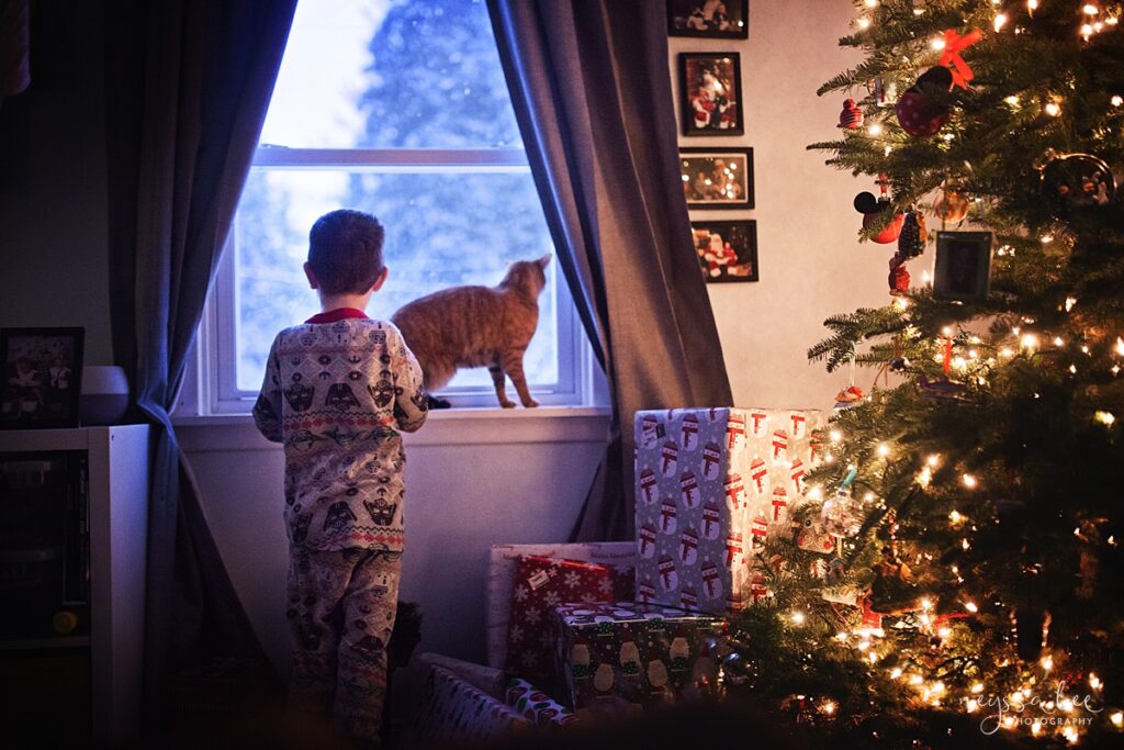 Boy looking out the window with cat on Christmas Morning