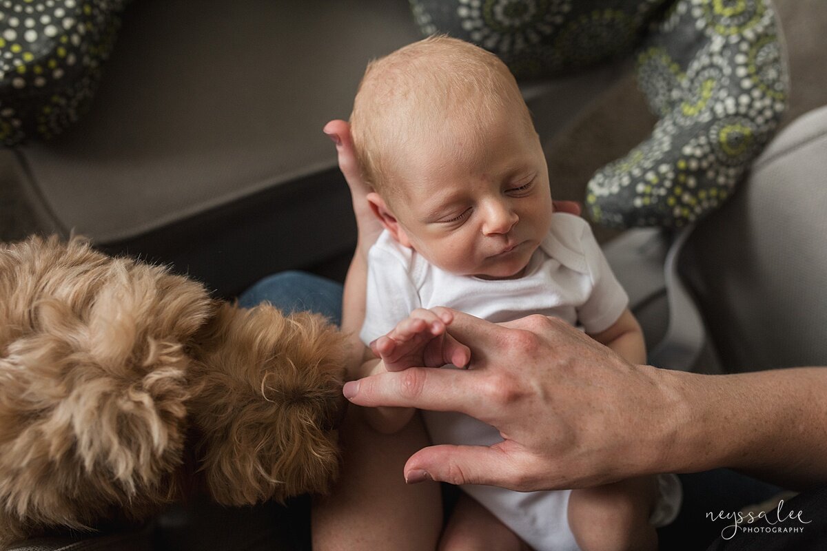 Photographs of Baby's 1st Year, Seattle Newborn Photographer, Issaquah Newborn Photography, Neyssa Lee Photography, Photo of newborn baby with puppy dog