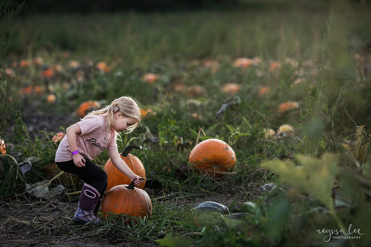 pumpkin patch kids