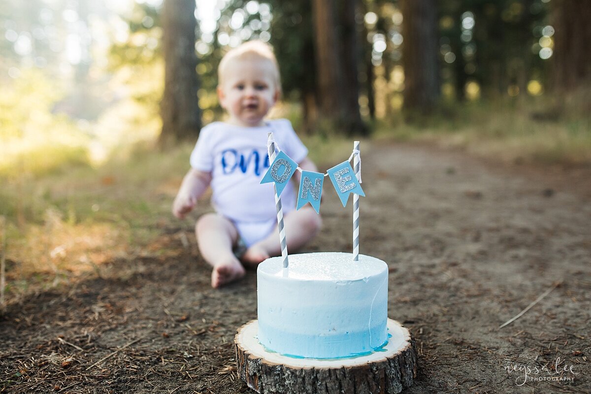 Photographs of Baby's 1st Year, Seattle Baby Photographer, Issaquah Baby Photography, Neyssa Lee Photography, Photo of 1 year old cake smash cake