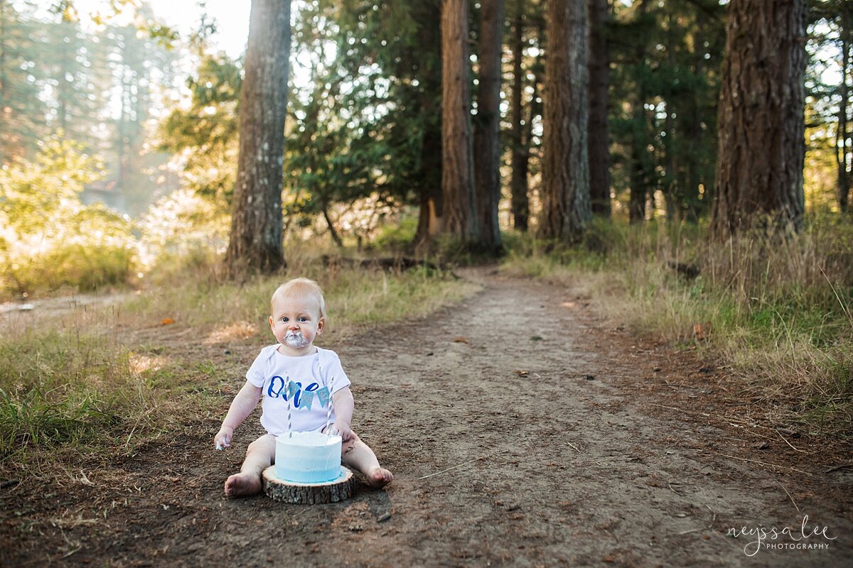 Photographs of Baby's 1st Year, Seattle Baby Photographer, Issaquah Baby Photography, Neyssa Lee Photography, Photo of 1 year old baby boy natural cake smash in the woods