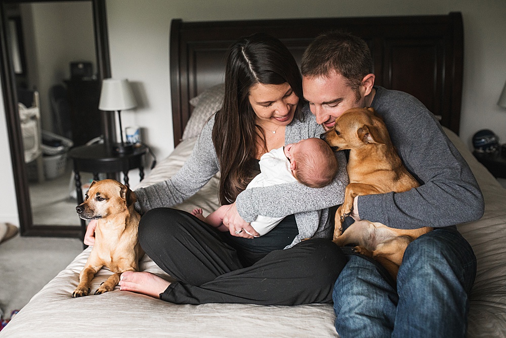 Family with newborn baby and two little dogs