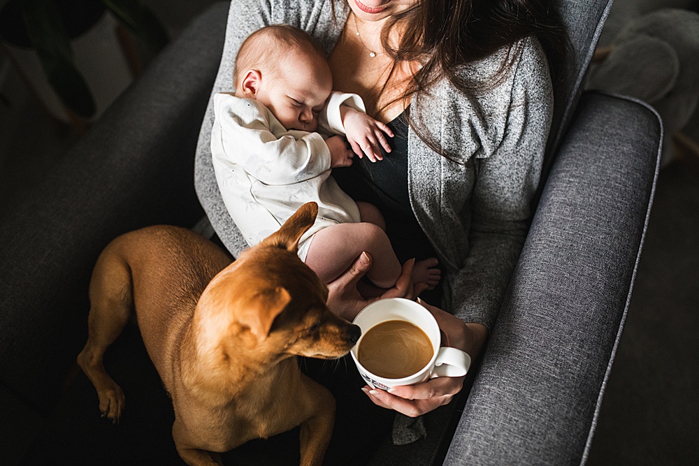 Mom with newborn baby, dog and coffee in her lap