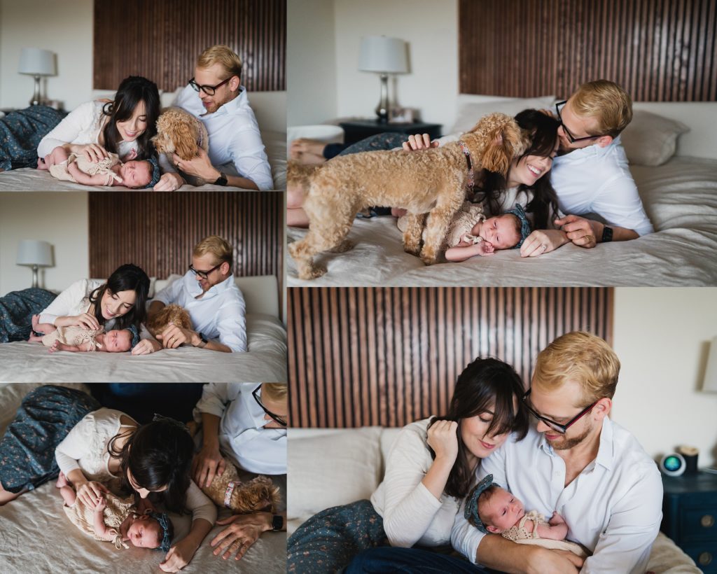 poses for newborn photos with dog and parents on bed