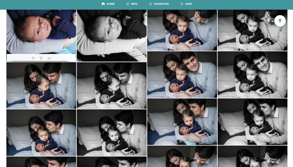 Sample newborn gallery for a ShootProof review
