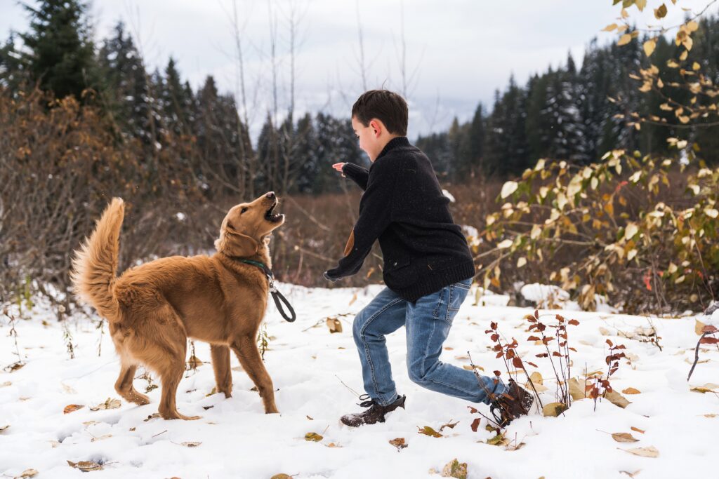 Boy playing with his dog in the snow at Gold Creek Pond 