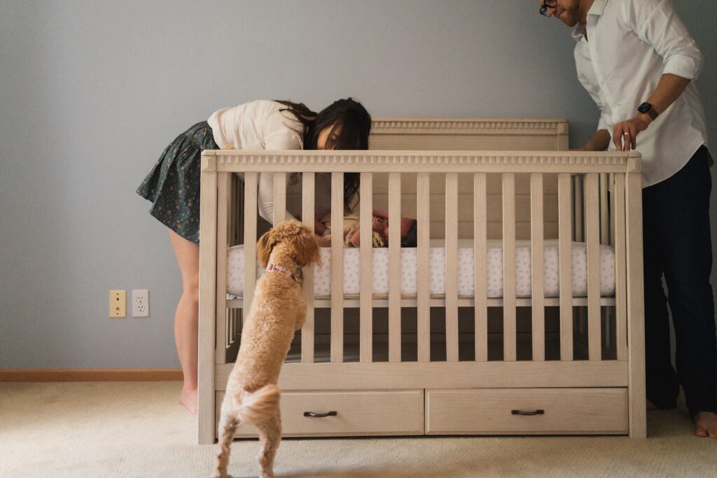 Dog trying to see newborn baby in crib as parents reach in the crib towards baby