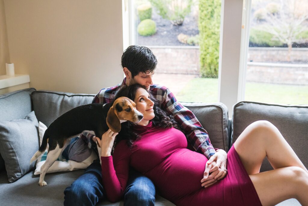 indoor, Seattle area in-home maternity photo shoot idea, couple cuddled up on couch with Beagle 