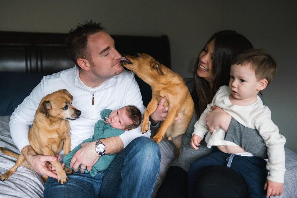 Seattle Family with newborn baby, toddler boy and dogs during newborn photoshoot